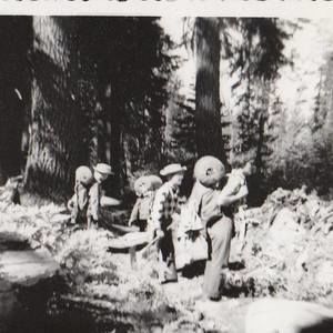 Meet your Posher, Jim